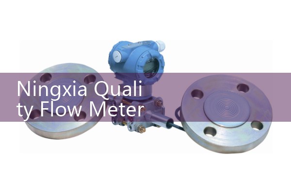 Ningxia Quality Flow Meter Manufacturer Ranking